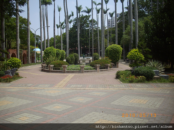 IMGP8848.JPG