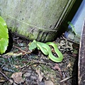 DSC_3624.JPG
