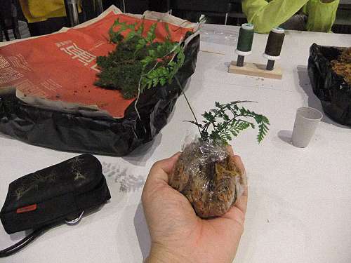 苔蘚球的製作體驗教室 來見前摔角選手 起田高志 俊藤劍的部落格 痞客邦 痞客邦 苔蘚球的製作體驗教室 來見前摔角選手 起田高志 俊藤劍的部落格 痞客邦 痞客邦