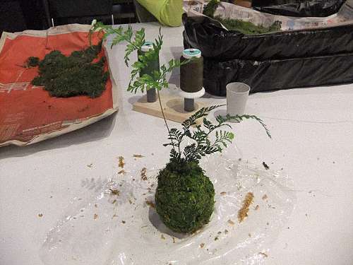 苔蘚球的製作體驗教室 來見前摔角選手 起田高志 俊藤劍的部落格 痞客邦 痞客邦 苔蘚球的製作體驗教室 來見前摔角選手 起田高志 俊藤劍的部落格 痞客邦 痞客邦