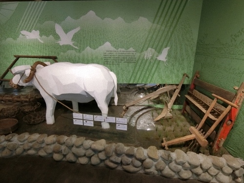 CIMG1189.jpg CIMG1189.jpg