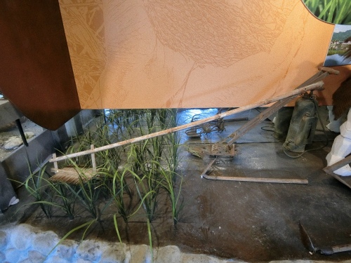 CIMG1191.jpg CIMG1191.jpg