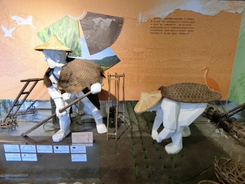 CIMG1190.jpg CIMG1190.jpg