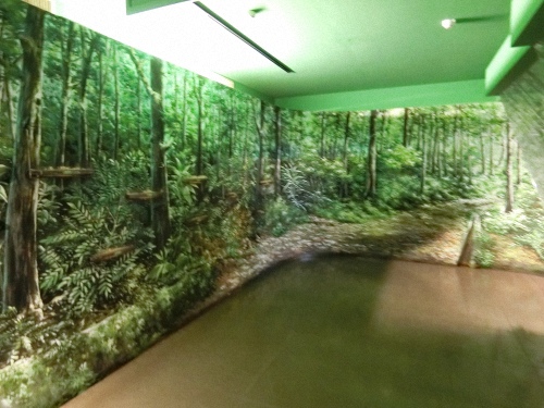 CIMG1225.jpg CIMG1225.jpg