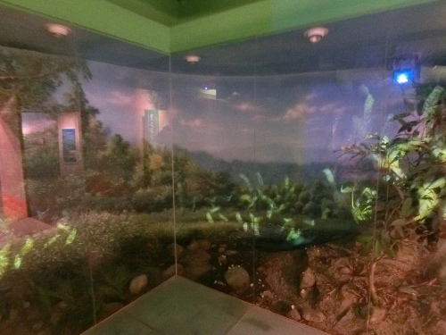 CIMG1228.jpg CIMG1228.jpg