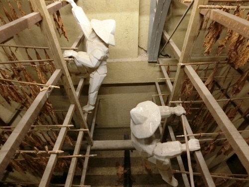 CIMG1285.jpg CIMG1285.jpg