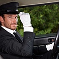 Lovepik_com-83106-car-driver (1).jpg