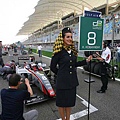 F1 babe, Bahrain 0427-9 (19).jpg