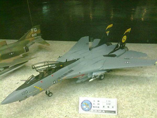 1_32 F-14.jpg