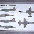 FUJIMI 1_48 NORTHLOP F-5B.jpg