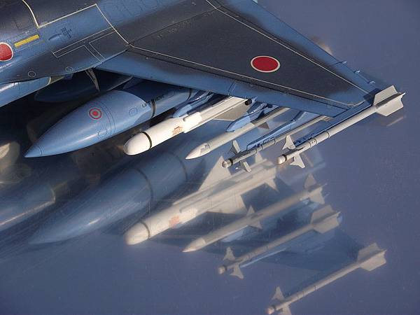 HASEGAWA 1/48 Mitsubishi F-2_4.JPG