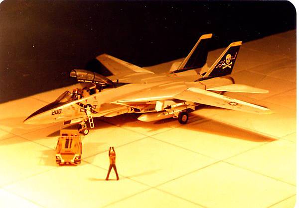 1-32 F-14 LAND.jpg