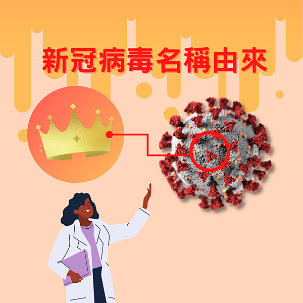 新冠病毒名稱由來 新冠病毒名稱由來