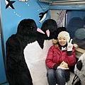 每個車廂都有兩個特別的動物椅墊，這應該就是企鵝了吧!