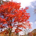 泡完溫泉出來後開始享受這紅黃藍交錯的美景