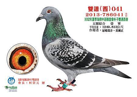 南海入賞鴿 南海入賞鴿