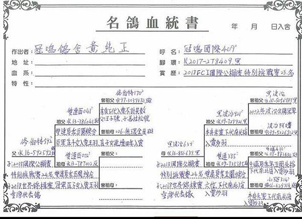 種鴿 070.jpg 種鴿 070.jpg
