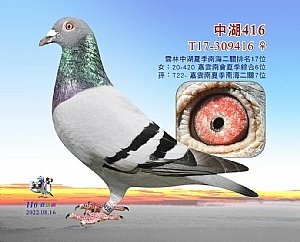 2023年116網拍7.jpg