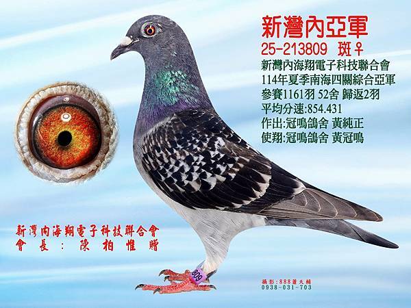 新灣內亞軍809%5C%5C