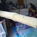 20100625135_1.jpg