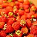 珍珠草莓.jpg