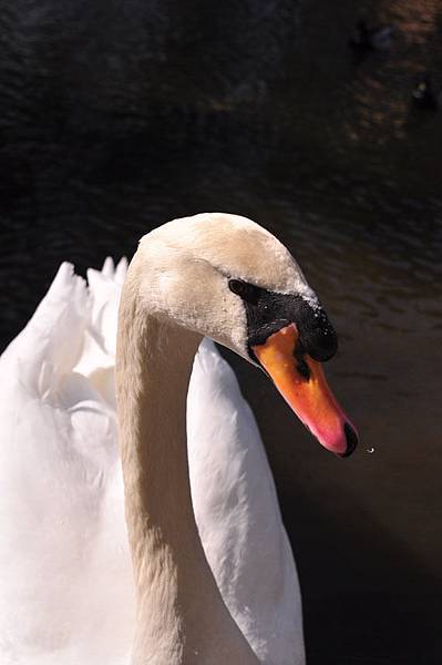 DSC_0676 (2)_zoo.jpg