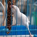 DSC_0328_1.jpg