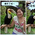 鳥咬人!!