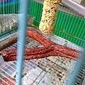 20100625130_1.jpg
