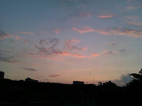 IMAG0049.jpg