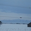 IMG_0606.JPG