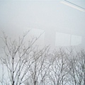 IMG_0627.JPG