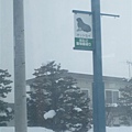 IMG_0638.JPG