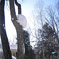 IMG_0678.JPG