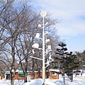 IMG_0687.JPG