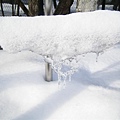 雪融了又結冰