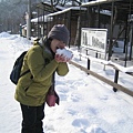 看起來白白的雪真想吃看看