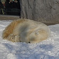 IMG_0206.JPG