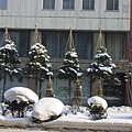 IMG_0220.JPG