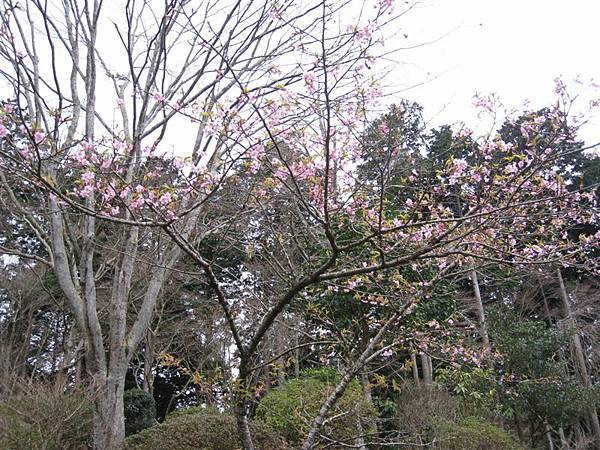 IMG_1340.JPG