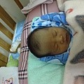 20090524745.jpg