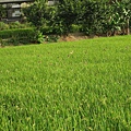 0002\Root\IMG_0159.jpg