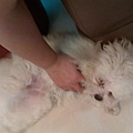 IMAG0093.jpg