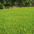 0002\Root\IMG_0157.jpg