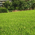 0002\Root\IMG_0160.jpg