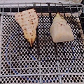 IMAG0103.jpg