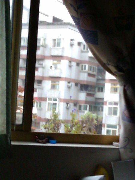 IMAG0253.jpg