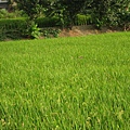 0002\Root\IMG_0156.jpg