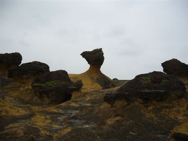 蕈狀岩群