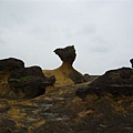 蕈狀岩群
